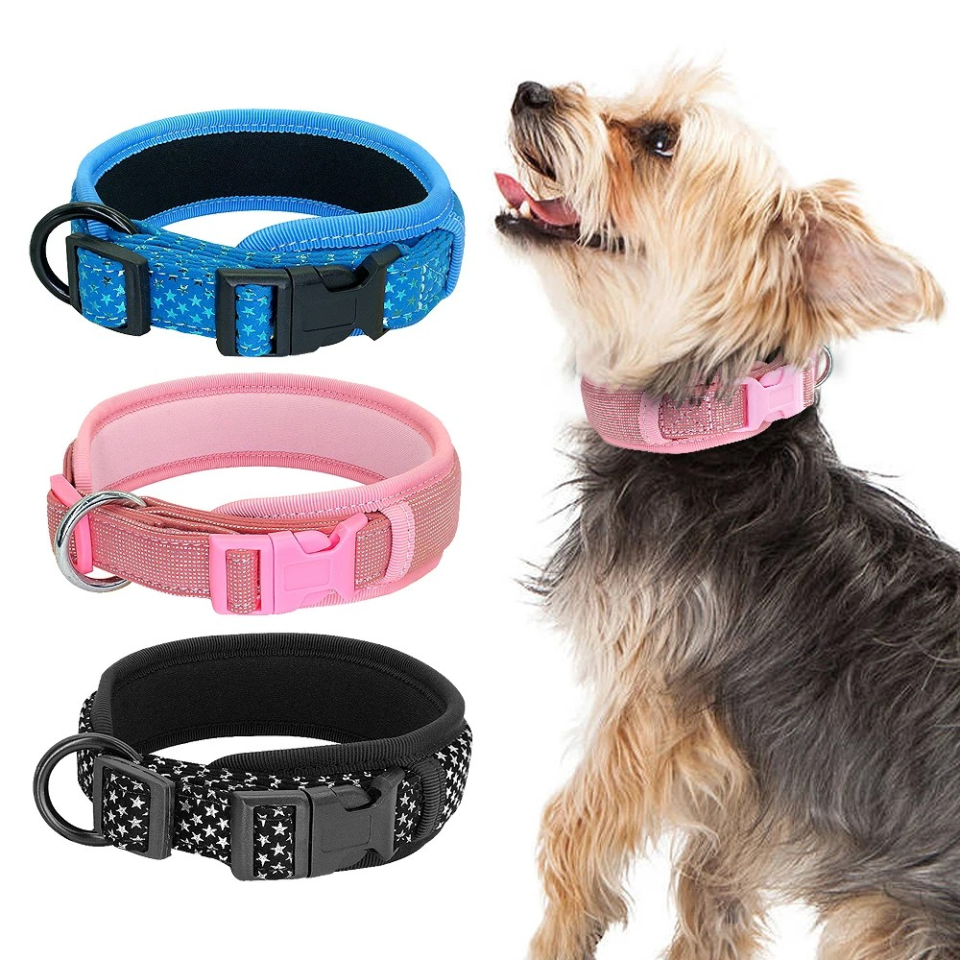 dog collar